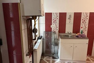 COMISION 0% Apartament cu 2 camere la parter cladire istorica in Timisoara - 12