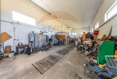 Spațiu industrial cu potential de vanzare in Paulis,Arad - 8