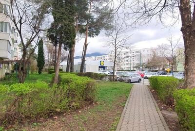 Apartament luminos cu vedere spre biserică, într-un cartier verde și liniștit. - 25