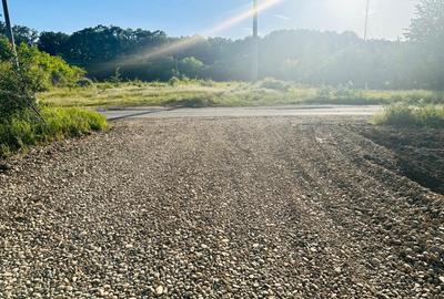 TEREN INTRAVILAN |  1000 mp | CORBEANCA | TAMASI | PADURE | - 4