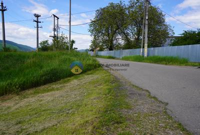 Teren 9000 mp intravilan Piatra Neamt , ideal investitie - 19