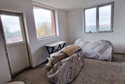 VIND VILA CU SPATIU INDUSTRIAL LOCUIT (pretabil la orice activitate) DASCALU IF - 10