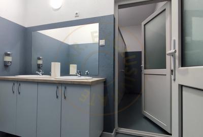 Inchiriere Spatii de Birouri/Productie - Str. Uzinei - Carei - Comision 0% - 6