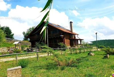 RATE Pensiune Superba*** 12 cam malul Lac Mocearu piscina - 6