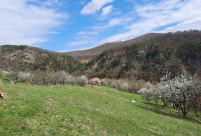 TEREN INTRAVILAN 13700 MP, INURI, VINTU DE JOS - 4