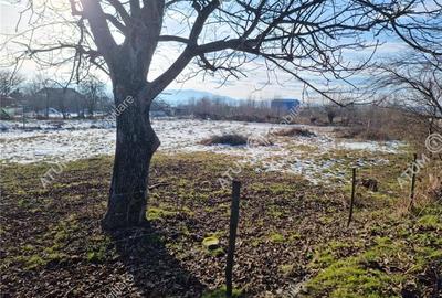 Teren intravilan 3021 mp in zona Avrig din Sibiu - 1
