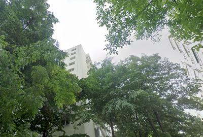 Doamna  Ghica - Colentina - Pod Doamna Ghica - metrou Obor la 15 min - 1