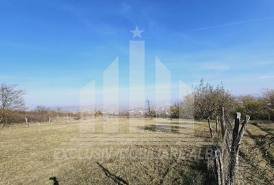 Teren intravilan | De vanzare | 700 mp | 31 ml deschidere | Podei - 2