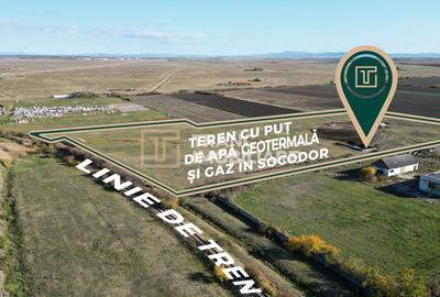 PUT GEOTERMAL NATURAL PE UN TEREN DE 36.476 MP IN SOCODOR, ARAD - 2