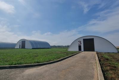 Industrial PARK for Sale – 4 Warehouses with Land, Near Bucharest (INTRAVILAN) - 21
