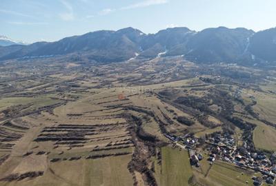 Teren intravilan Bran - Predelut - 31