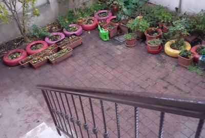 2 camere | Bucurestii Noi | Bazilescu | 16 Feb | Curte proprie 50 mp - 11