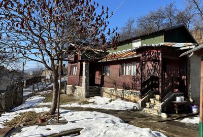 Casa gospodarului, bine întreținută, cu teren generos – Comarnic - 20