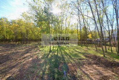 Snagov Ciofliceni Mânastire- Teren 1432 Mp, D 60 M, Curent Gaze Asfalt - 6