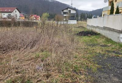 Teren intravilan intre case în Bunloc, lângă pădure – 604 mp - 6