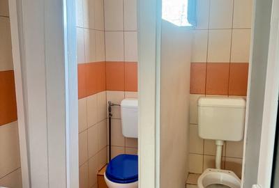 Spațiu comercial/birouri de închiriere, P+1+M, 260 mp, lângă Kaufland Ap Patriei - 15