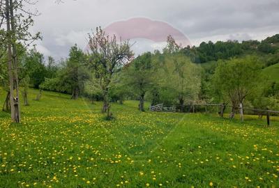 COMISION 0% | Teren 2,000mp Bran | Strada Clincea | - 3