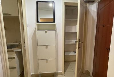 Vanzare apartament 2 camere mobilat/utilat Gara de Nord - 14