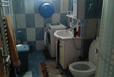 COMISION 0% | OPORTUNITATE ÎN TIMIȘOARA – Zona Dâmbovița (Nora) - 9
