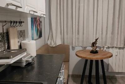 Inchiriere  apartament 3 camere Parcul Circului, cu vedere la parc - 5