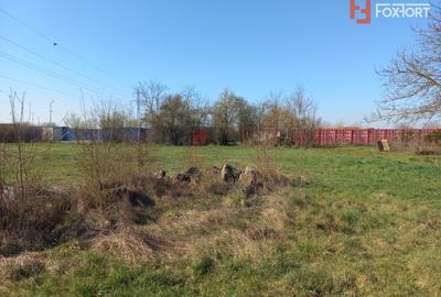 Teren intravilan – oportunitate investitie – zona Centura Timisoarei - 4