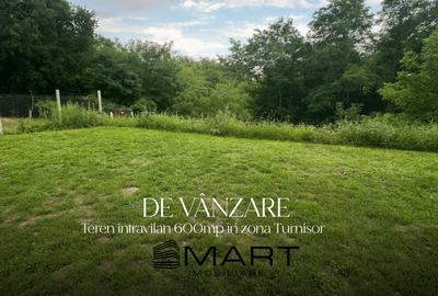 Teren Construcții intravilan de 600 mp, în Turnișor
