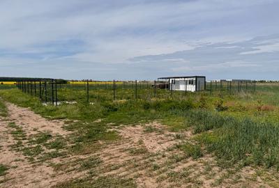 Lot 550 mp, Malinului - 9