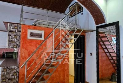 Apartament 1 camera de inchiriat, pet friendly, centru, Timisoara - 4