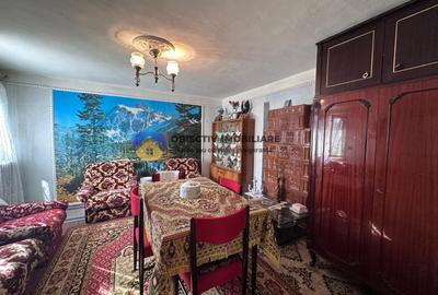Casa tradițională de vânzare - Alexandru cel Bun - 17