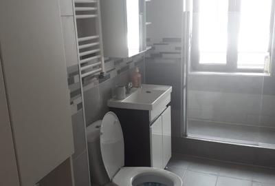 Apartament 4 camere Calea Calarasi / Hala Traian in vila - 21