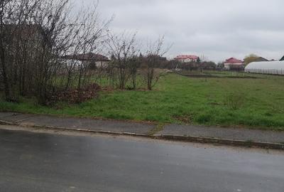 Teren de vânzare – Cornetu, Ilfov – Strada Bradului - 2