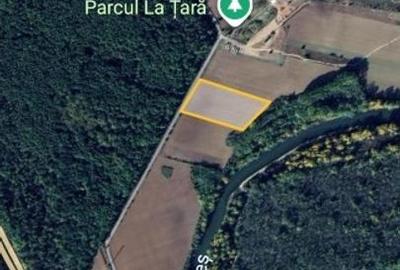 Terenuri 1000- 20.000 mp intravilan extins Gaiseni-Cascioarele. Oportunitate! - 5