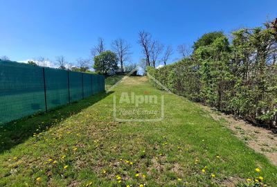Duplex Zona Linistita Carpinis - 20