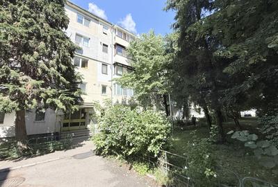 Ap 2 camere 55 mp - mobilat - zona centrala - Str Schelelor - 16