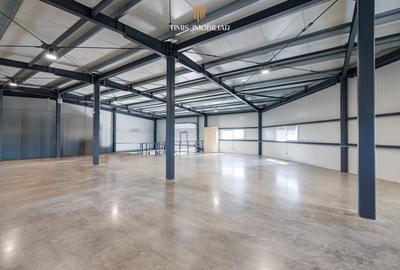 Spațiu comercial de închiriat – Dumbrăvița, acces direct din DNCT - 10