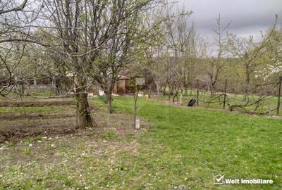 Teren constructii , drum de acces, Salicea - 3