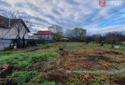 Teren intravilan de 1300 mp, Asfalt - Jebel - 1