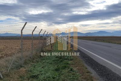 Teren intravilan industrial DN 13 Calea Feldioarei Brasov - 1