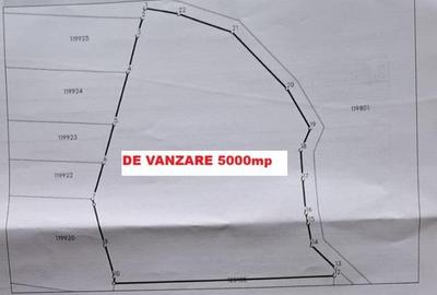 Teren 5.000 mp in Păltiniș Zona Vălari (Priveliște Panoramic - 3