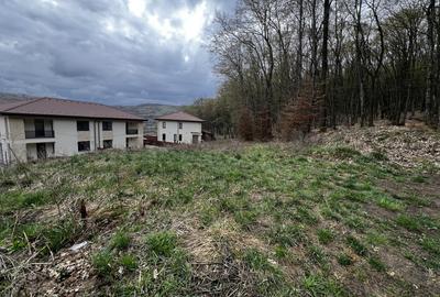 Teren Construcții intravilan de 500 mp, în Florești