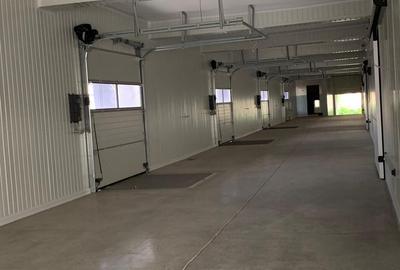 Depozit temperatura controlata în zona Vest Ploiesti PH - 3