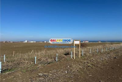 Teren intravilan 47.400 mp, Vama Veche, 200 m de Marea Neagra - 5