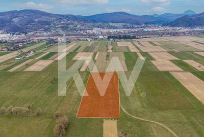 Oportunitate de investitie în Zarnesti I Teren intravilan 8557 mp - 8
