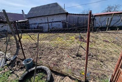 Teren mare cu 2 case in Sabolciu, com. Sacadat - 20