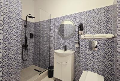 REA1028522 Apartament 3 camere Armeneasca - 6