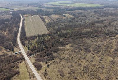 Teren extravilan 95.23 ha lângă Caransebeș - 22