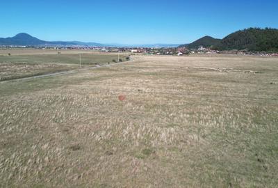 Teren extravilan Rasnov - 15