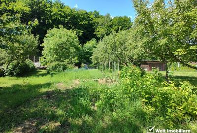 Teren Construcții intravilan de 1195 mp, în Făget