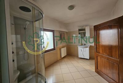 De inchiriat in Selimbar, Sibiu imobil pretabil sediu firma - 21