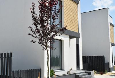 Casa Verde Individuala | 4 Camere | Teren 320 mp & 3 Locuri Parcare | Tunari - 1